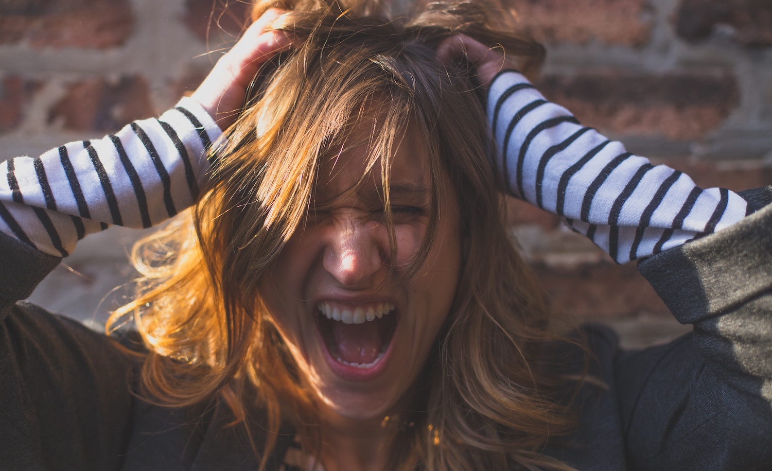 highlysensitiverefuge.com