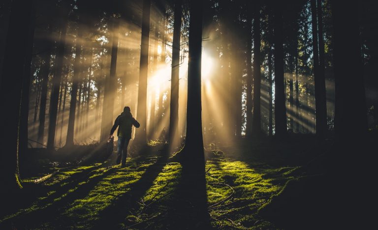 ‘Forest Bathing’ Is a Thing, and It Can Heal Highly Sensitive People