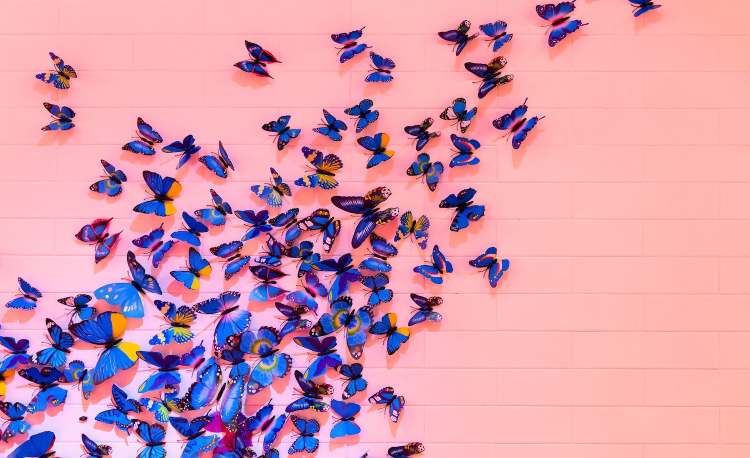 butterflies that represent how being highly sensitive is a divine gift