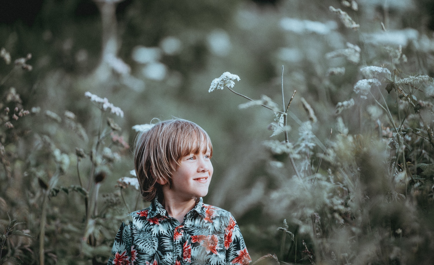 A highly sensitive child (male) in a field looking thoughtfully into the distance.