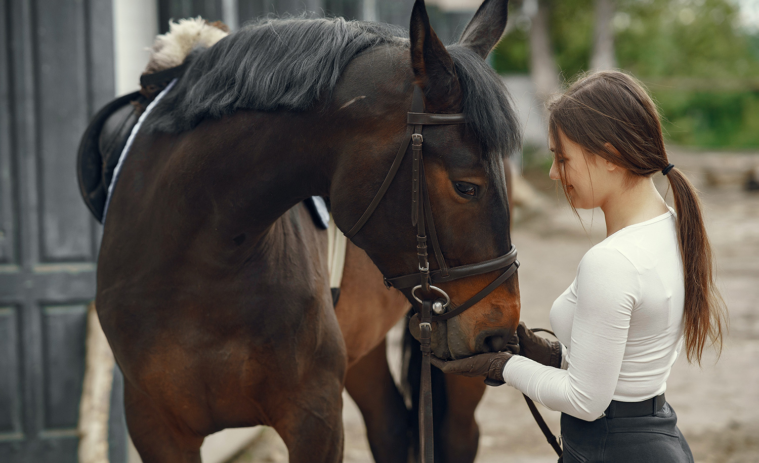 A highly sensitive woman volunteers with horses