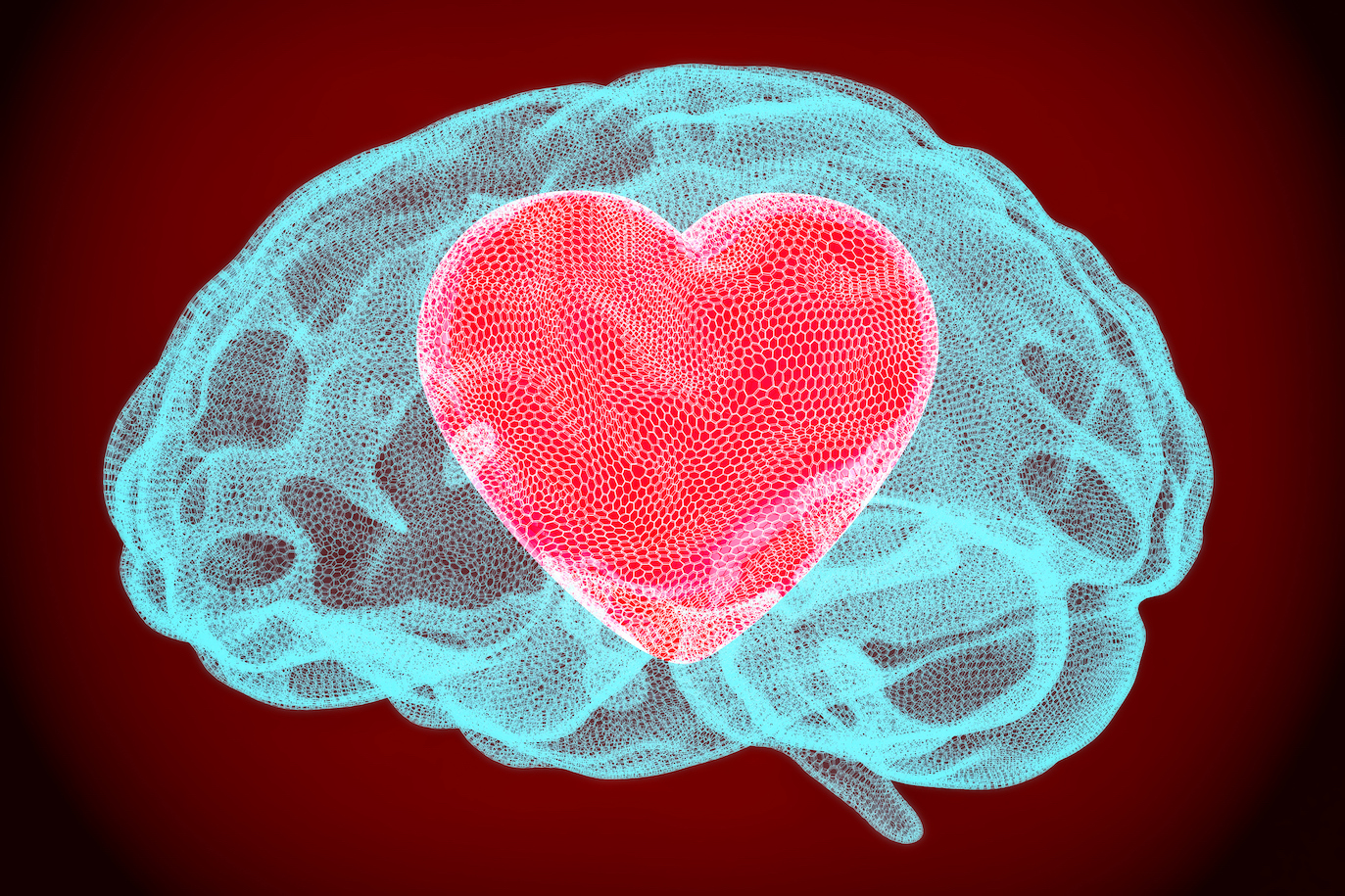 Image of a heart symbol inside an outline of a brain, indicating a sensitive personality type